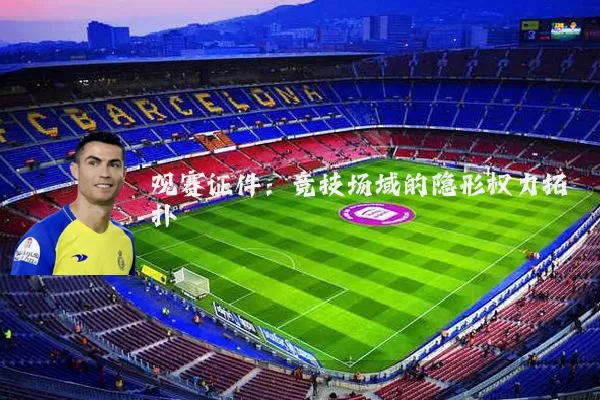 观赛证件：竞技场域的隐形权力拓扑
